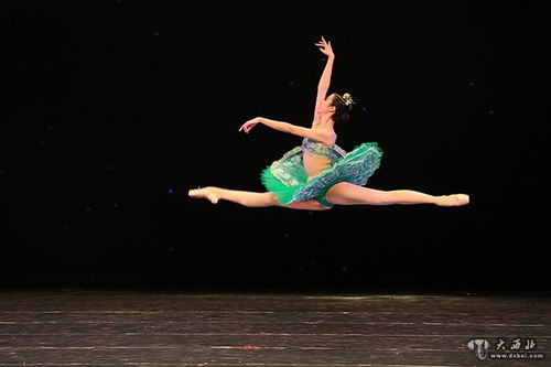 2019年兰州市惠民演出 中外精品舞蹈荟萃 绚丽上演