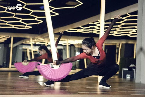 你想了解的都在这里